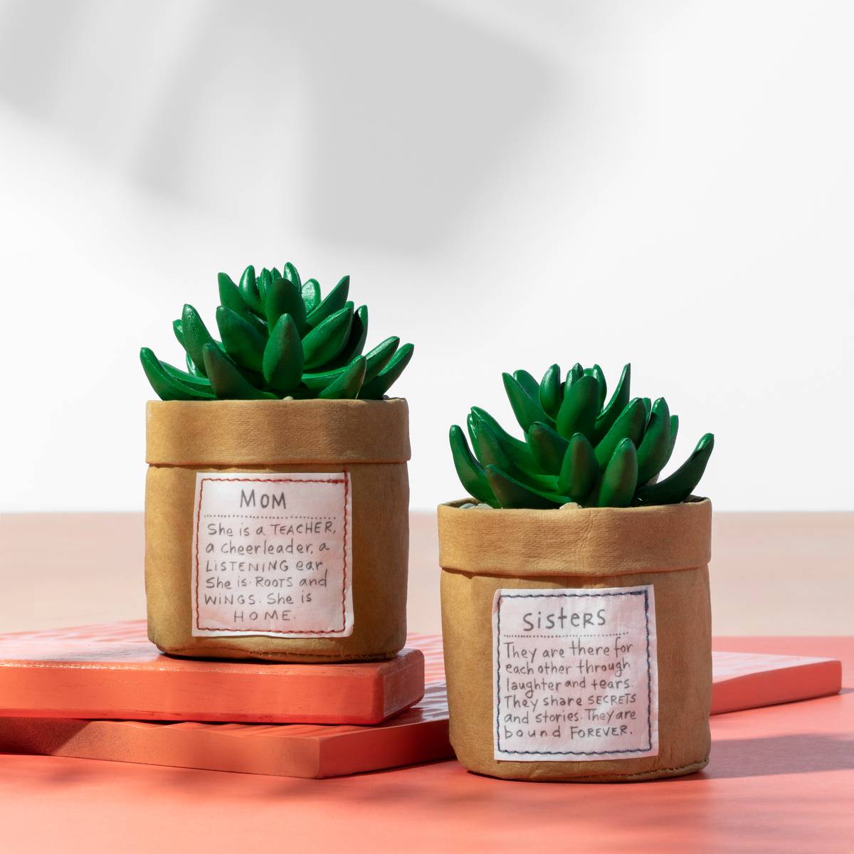 Faux Canvas Succulents Faux Canvas Succulents
